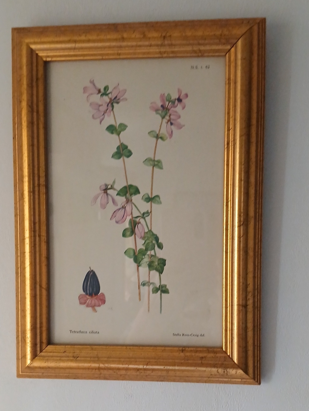 Gold Framed Botanical Wall Art - Pink Floral Print